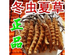 常年回收冬虫夏草【15710059989】极草口含片海参图1