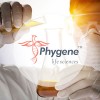 Phygene | 固定液