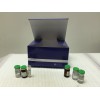 BH3ṹյ(Bid)ELISA Kit