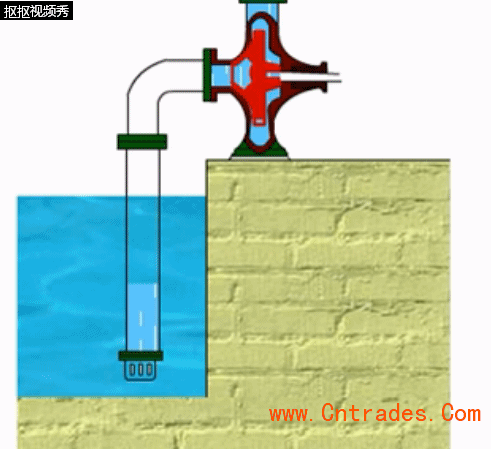 离心泵工作原理动图