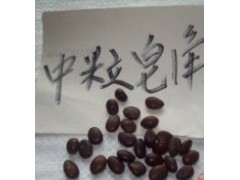 优质皂角种子常期收购图1